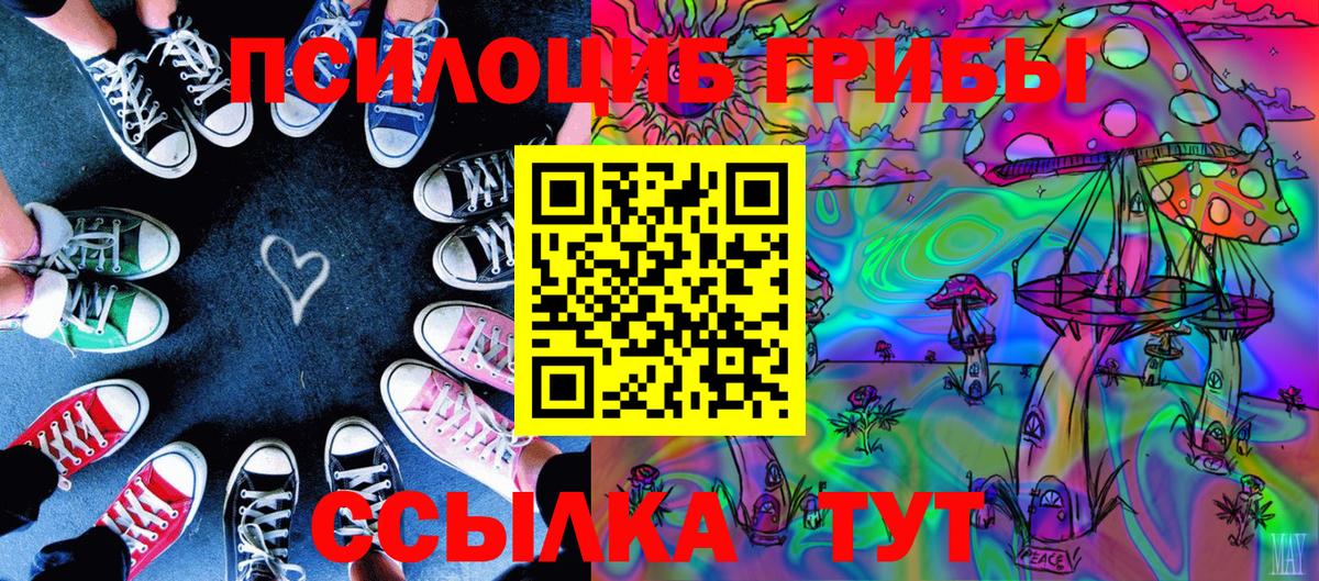 Россия  Псилоцибиновые грибы Magic Shrooms  Вход с VPN  Псилоцибиновые грибы Cubensis 