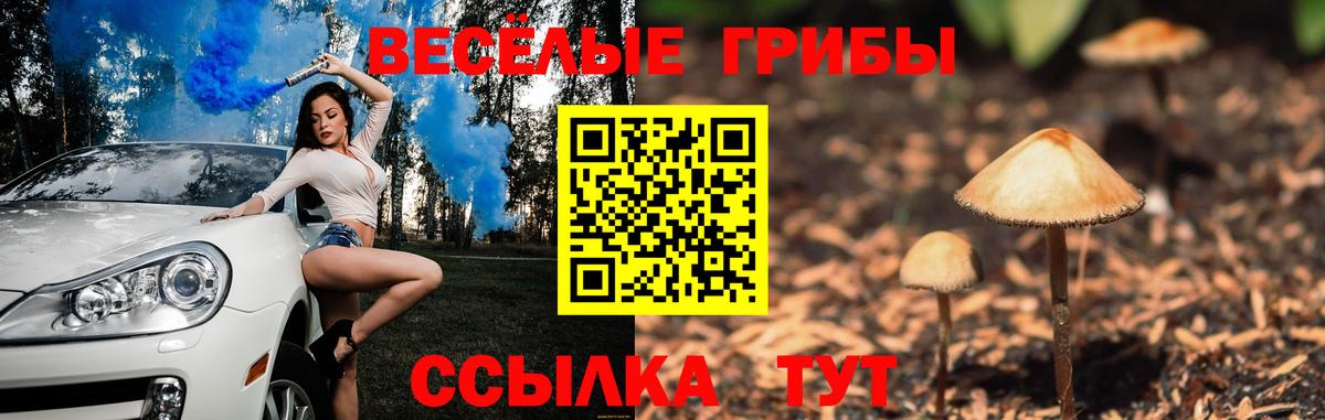 Псилоцибиновые грибы MAGIC MUSHROOMS Россия